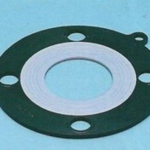 Special Gasket