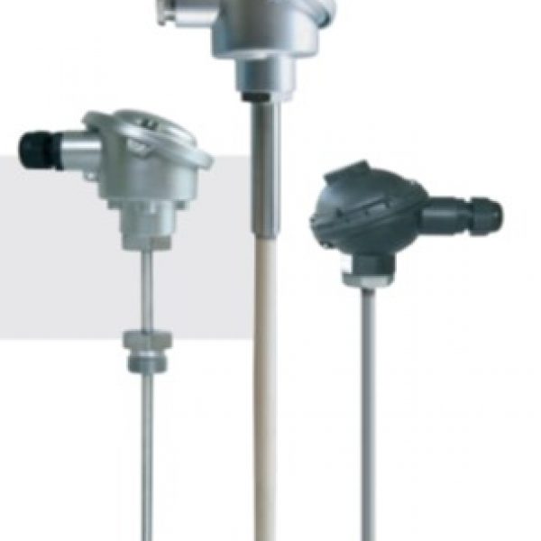 Temperature probe