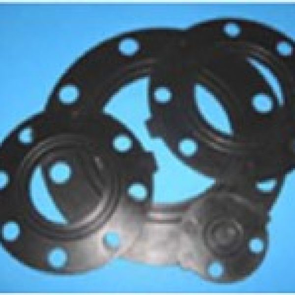 EPDM gasket